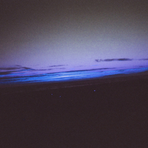 欧美夫妻生活网
